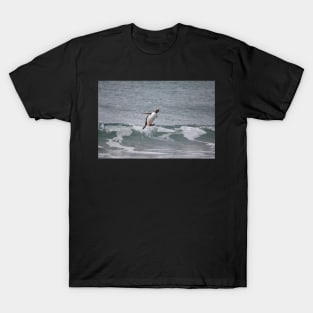 Surfing in gentoo's style T-Shirt